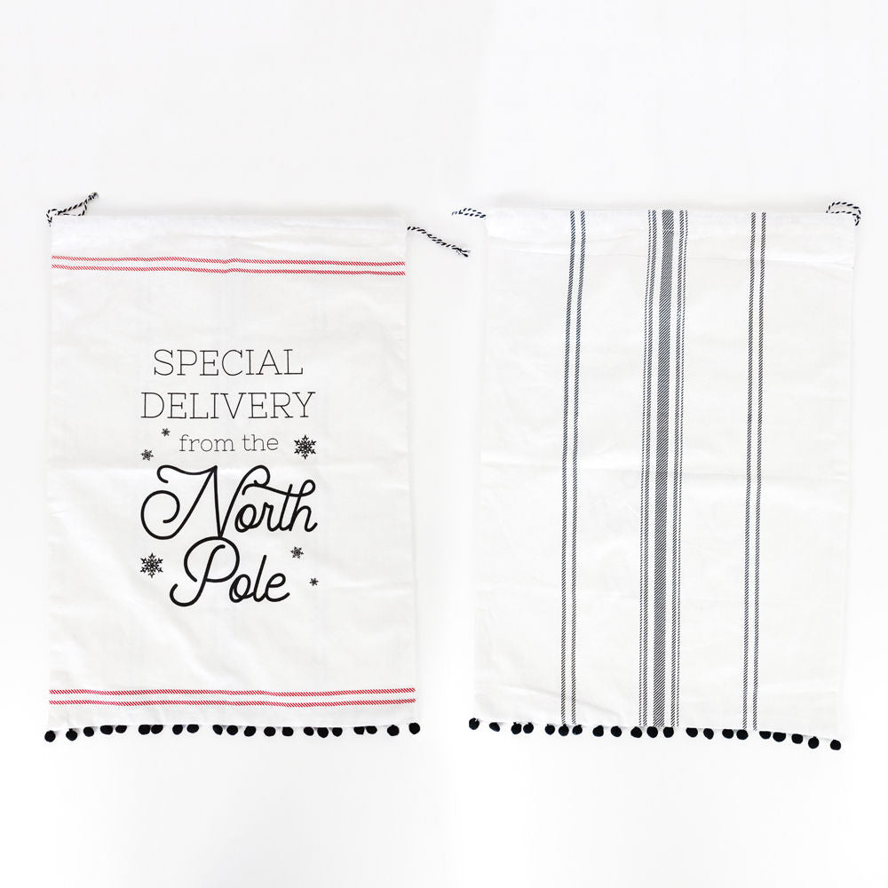 SPECIAL DELIVERY reversible cotton drawstring gift bag 17x24"