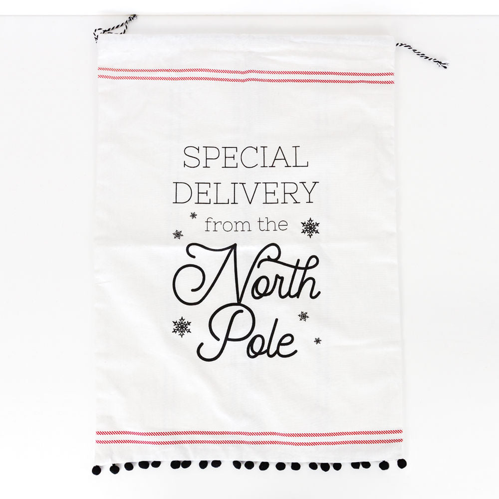 SPECIAL DELIVERY reversible cotton drawstring gift bag 17x24"